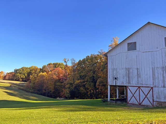 fall photography in western pa, western pa photography, nature photography laurel mountains