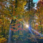 western Pennsylvania photography, PA photography, pa photographer, laurel highlands, laurel mountains, photography, nature photography