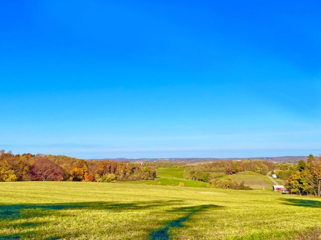 fall photography in western pa, western pa photography, nature photography laurel mountains