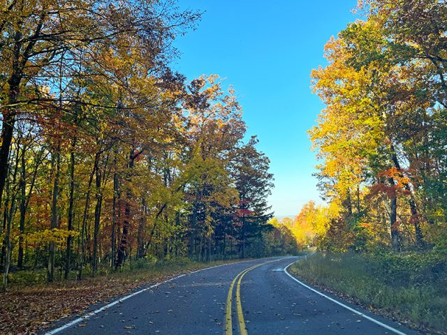 fall photography in western pa, western pa photography, nature photography laurel mountains