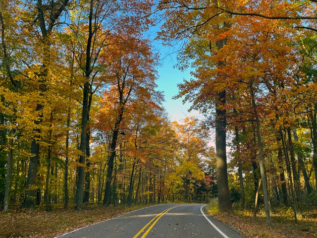 fall photography in western pa, western pa photography, nature photography laurel mountains