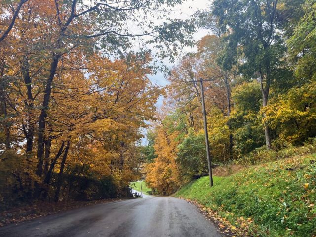 fall photography in western pa, western pa photography, nature photography laurel mountains