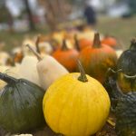 western Pennsylvania photography, PA photography, pa photographer, laurel highlands, laurel mountains, photography, nature photography